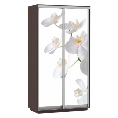 Шкаф-купе Экспресс Хит Фото Орхидея