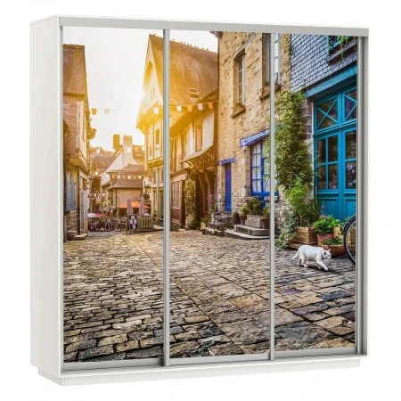 Шкаф-купе Экспресс Фото Трио Улица 2100x600x2200