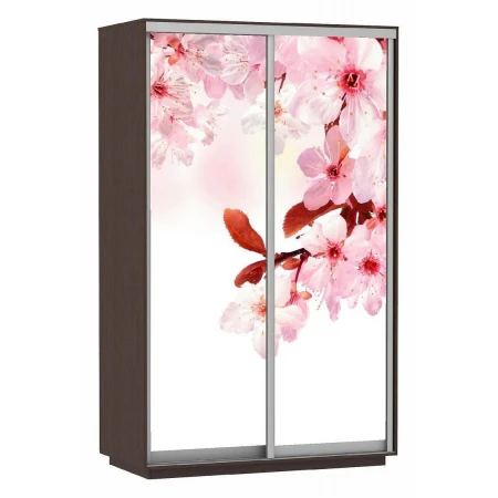 Шкаф-купе Экспресс Фото Дуо Сакура 1200x600x2400