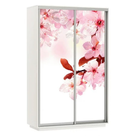 Шкаф-купе Экспресс Фото Дуо Сакура 1600x600x2400