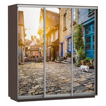 Шкаф-купе Экспресс Фото Трио Улица 2400x600x2200