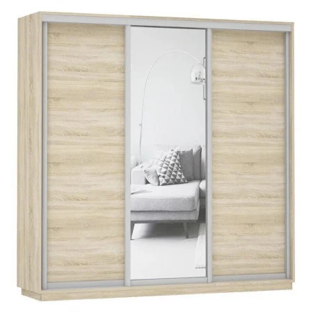 Шкаф-купе Экспресс Медиум (1 зеркало) Трио 1800x600x2200