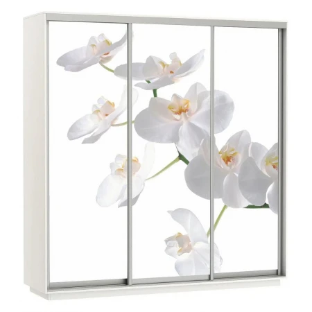 Шкаф-купе Экспресс Фото Трио Орхидея 2100x600x2400