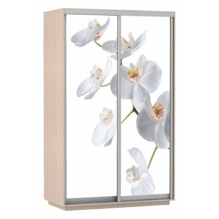 Шкаф-купе Экспресс Фото Дуо Орхидея 1200x600x2400