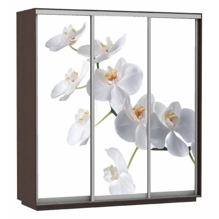 Шкаф-купе Экспресс Фото Трио Орхидея 2100x600x2200