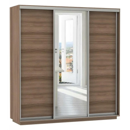 Шкаф-купе Экспресс Медиум (1 зеркало) Трио 2100x600x2200