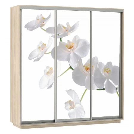 Шкаф-купе Экспресс Фото Трио Орхидея 2400x600x2400