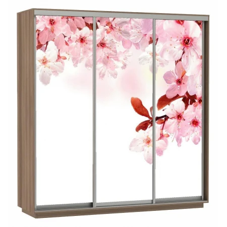 Шкаф-купе Экспресс Фото Трио Сакура 2100x600x2200