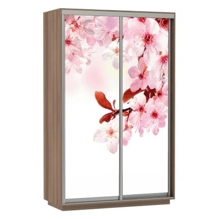 Шкаф-купе Экспресс Фото Дуо Сакура 1200x600x2400