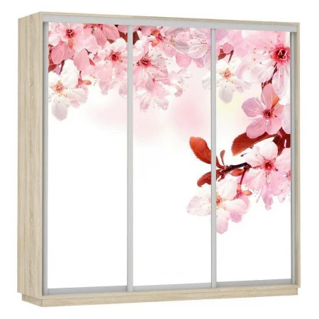 Шкаф-купе Экспресс Фото Трио Сакура 1800x600x2400