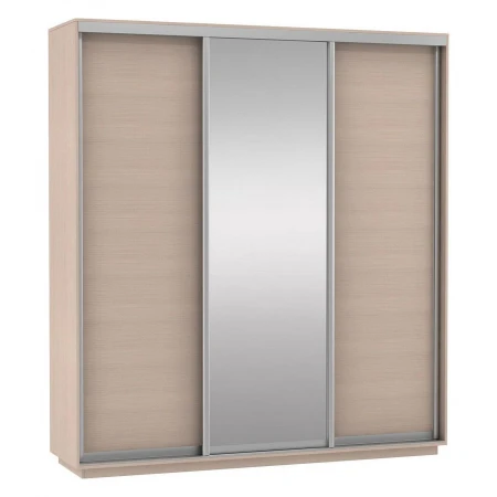 Шкаф-купе Экспресс Медиум (1 зеркало) Трио 2100x600x2200