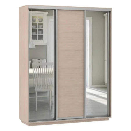 Шкаф-купе Экспресс Медиум (2 зеркала) Трио 2400x600x2200