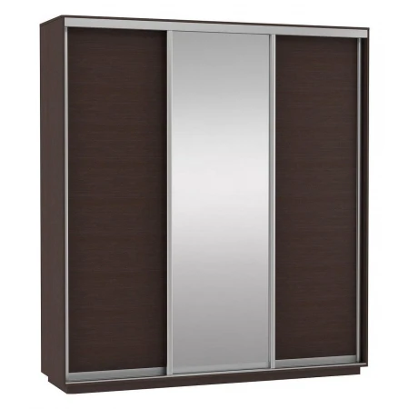 Шкаф-купе Экспресс Медиум (1 зеркало) Трио 2100x600x2200