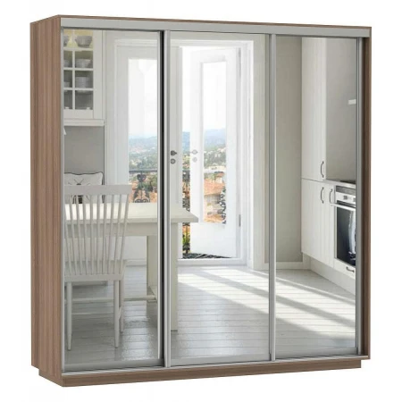 Шкаф-купе Экспресс Экспенс Трио 2100x600x2200