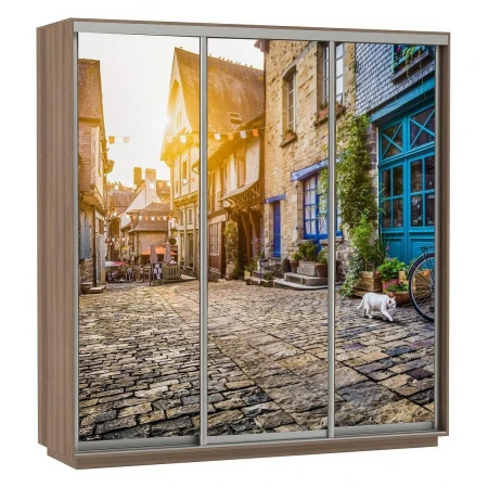 Шкаф-купе Экспресс Фото Трио Улица 2400x600x2200