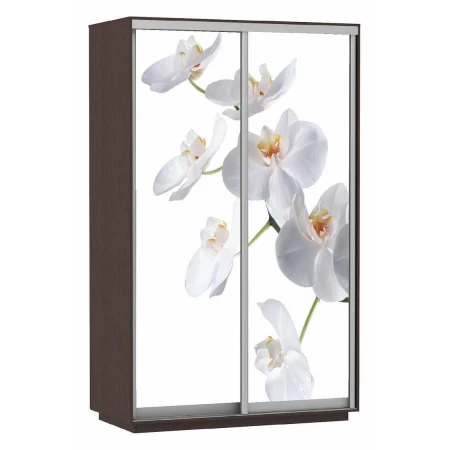 Шкаф-купе Экспресс Фото Дуо Орхидея 1400x600x2400