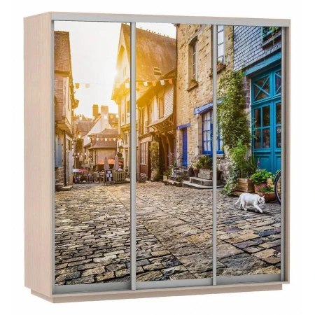 Шкаф-купе Экспресс Фото Трио Улица 2100x600x2200