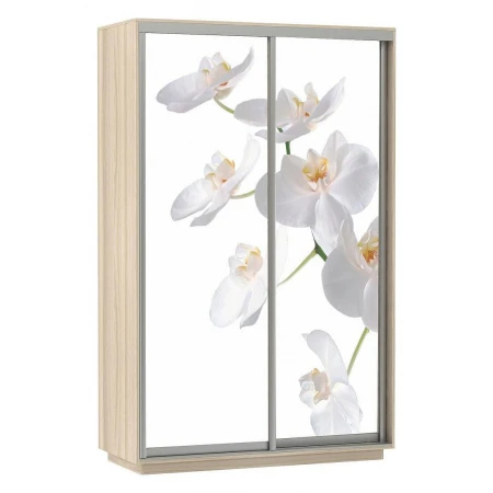 Шкаф-купе Экспресс Фото Дуо Орхидея 1200x600x2200