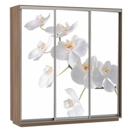Шкаф-купе Экспресс Фото Трио Орхидея 2100x600x2400