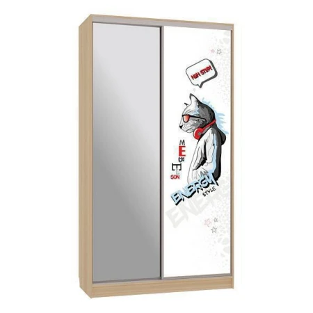 Шкаф-купе Рио 9-600 Энерджи