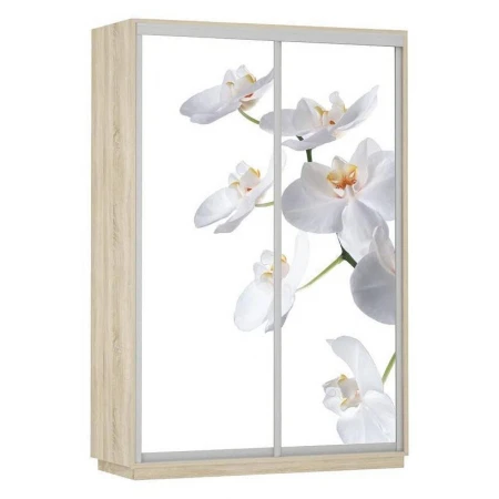 Шкаф-купе Экспресс Фото Дуо Орхидея 1600x600x2400