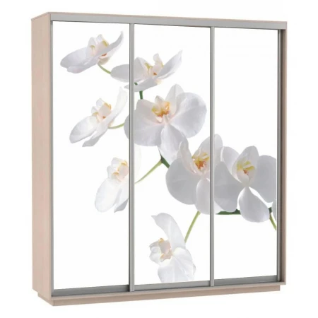 Шкаф-купе Экспресс Фото Трио Орхидея 2400x600x2400