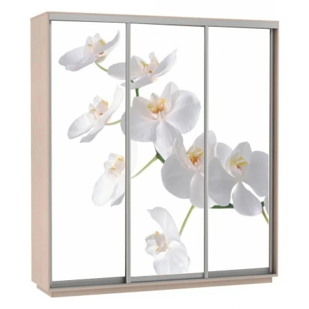 Шкаф-купе Экспресс Фото Трио Орхидея 1800x600x2400