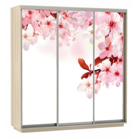 Шкаф-купе Экспресс Фото Трио Сакура 2100x600x2200