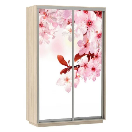 Шкаф-купе Экспресс Фото Дуо Сакура 1200x600x2400