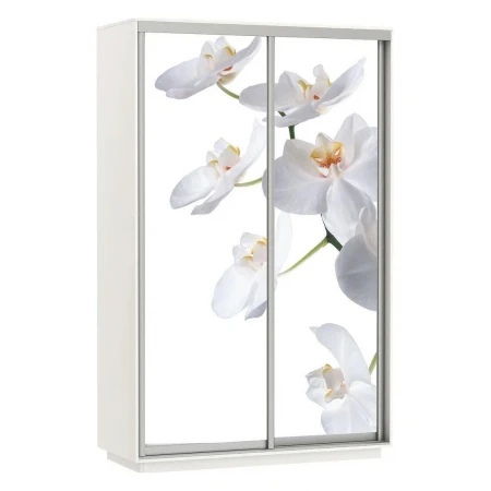 Шкаф-купе Экспресс Фото Дуо Орхидея 1600x600x2200