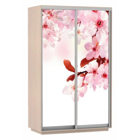 Шкаф-купе Экспресс Фото Дуо Сакура 1200x600x2400