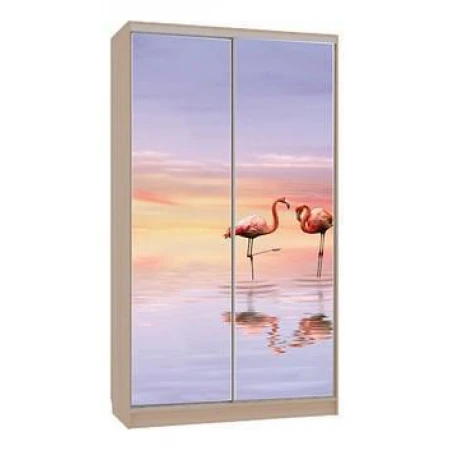 Шкаф-купе Рио 7-600 19