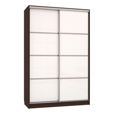 Шкаф-купе Рио 2