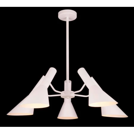 1001P/5 RED (1) Люстра 