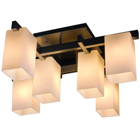 Люстра ST LUCE SL541.102.06 SL541