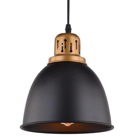 Светильник Arte Lamp A4245SP-1BK Eurica