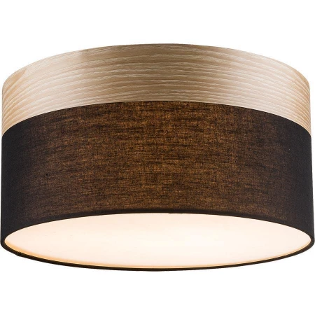 Светильник Globo 15222D Chipsy