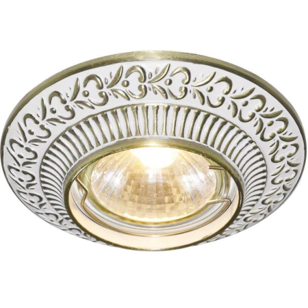 Точечный светильник Arte Lamp A5280PL-1WG Occhio