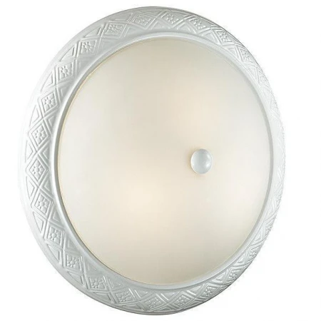 Настенно-потолочный светильник Sonex 3306 COLT