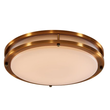 Светильник для ванной комнаты Citilux CL709253 Бостон