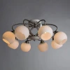 Потолочная люстра Arte Lamp Ellisse A6342PL-8WG Потолочная люстра Arte Lamp Ellisse A6342PL-8WG