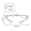 Потолочная люстра Lightstar Aereo 711121