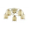 Потолочная люстра Lumion Filla 3029/5C Потолочная люстра Lumion Filla 3029/5C