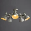 Потолочная люстра Arte Lamp Martin A5216PL-5WG Потолочная люстра Arte Lamp Martin A5216PL-5WG