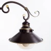 Потолочная люстра Arte Lamp 7 A4577PL-8CK