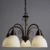 Подвесная люстра Arte Lamp 82 A9312LM-5BR