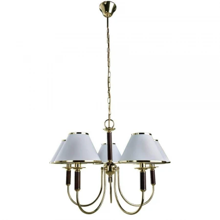 Подвесная люстра Arte Lamp Catrin A3545LM-5GO