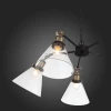 Подвесная люстра ST Luce Evoluto SL237.413.05 Подвесная люстра ST Luce Evoluto SL237.413.05