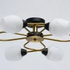 Потолочная люстра MW-Light Олимпия 638018608 Потолочная люстра MW-Light Олимпия 638018608
