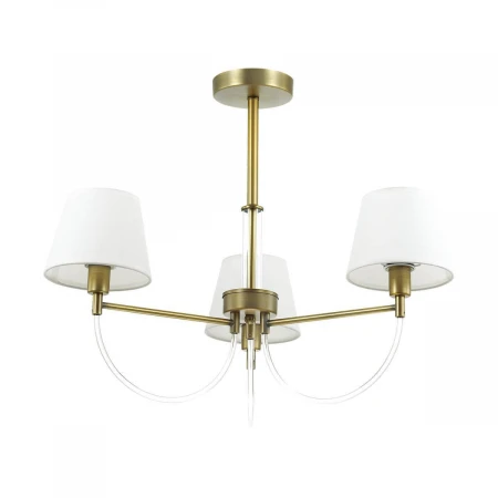 Подвесная люстра Lumion Dakota 3702/3C